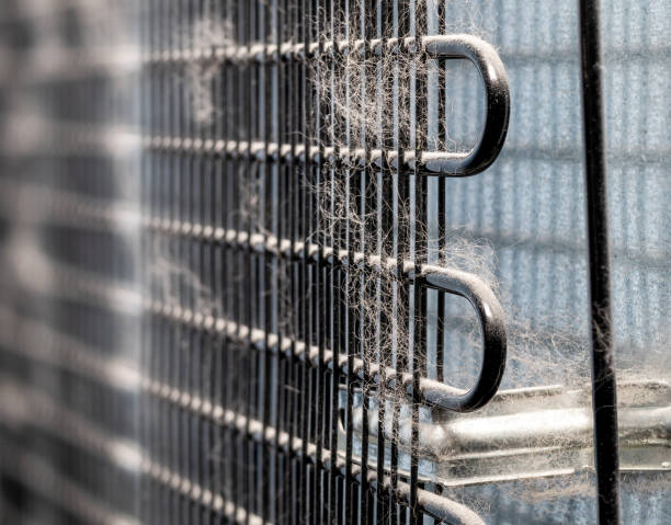 The Hidden Gem: Why Cleaning the Back of Your Refrigerator Is Essential