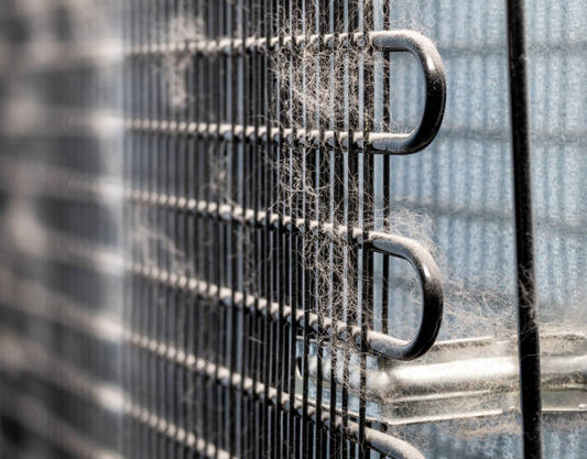 The Hidden Gem: Why Cleaning the Back of Your Refrigerator Is Essential
